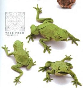 Tree Frog Origami